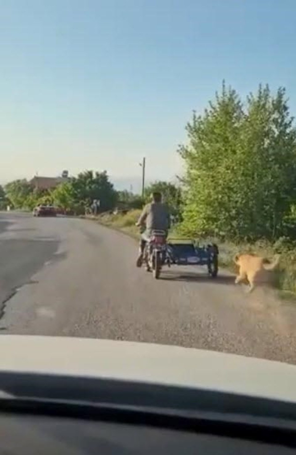 Köpeği motosikletin arkasına bağlayıp koşturdu - 1