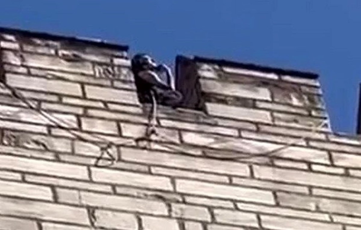 İki genç kızı öldüren Semih Çelik daha sonra surlardan atlayarak intihar etti. İki genç kızı öldüren Semih Çelik daha sonra surlardan atlayarak intihar etti.