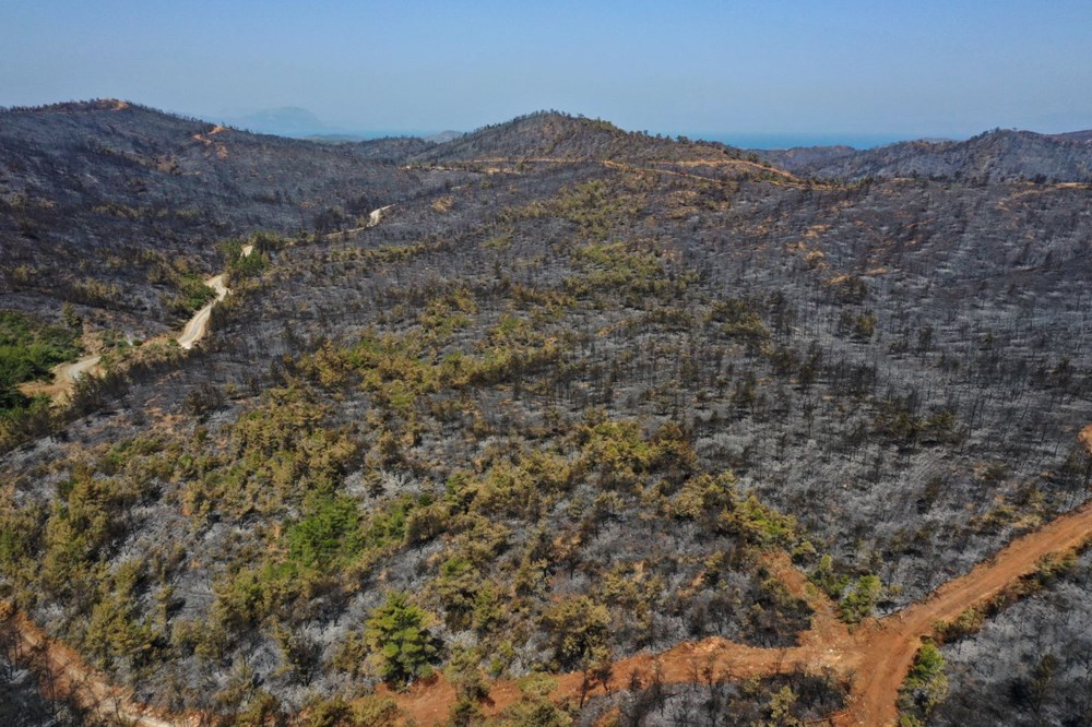 Marmaris'teki orman yangını kontrol altına alındı - 8