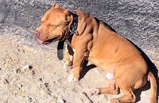 kesen kisiye 11 bin 467 lira ceza