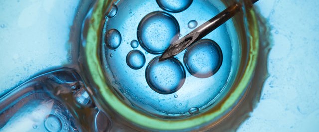 Tüp bebek mi, aşılama mı? Sağlık Haberleri NTV