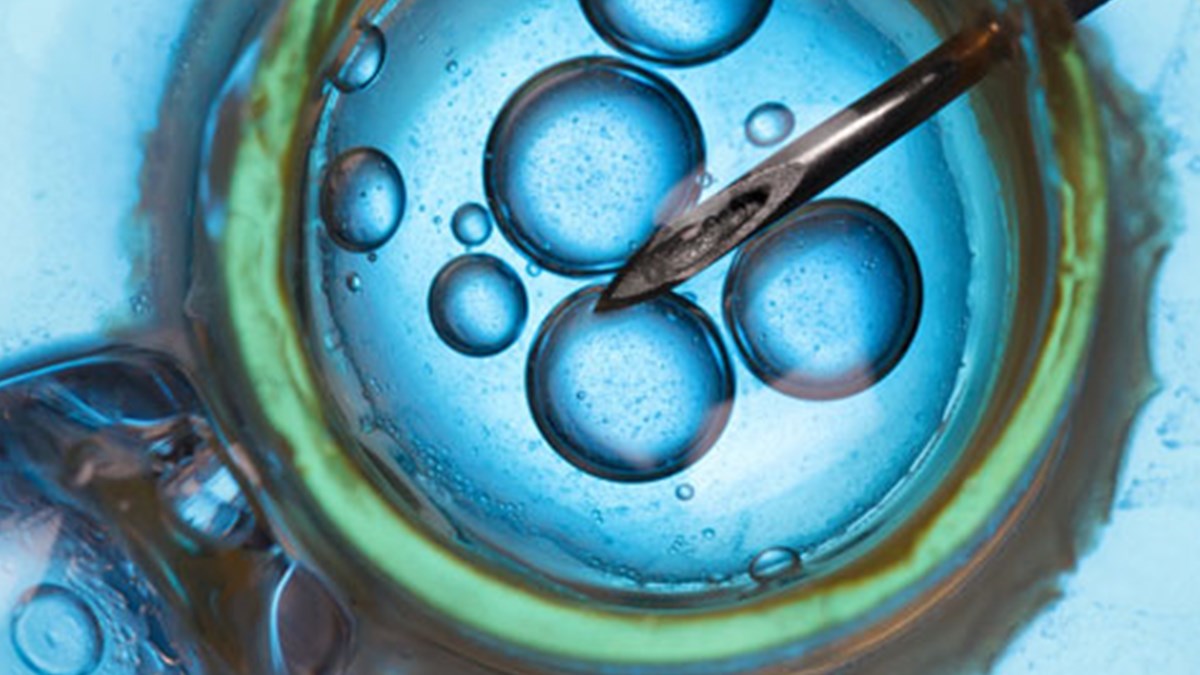 tup bebek mi asilama mi saglik