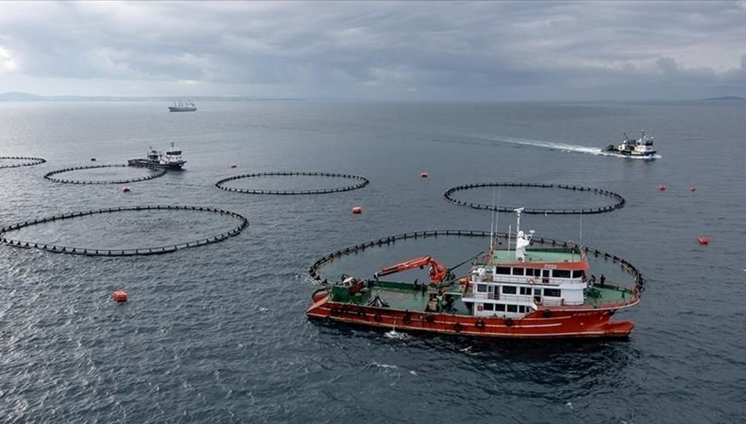 Trabzon'un su ürünleri ihracatında artış