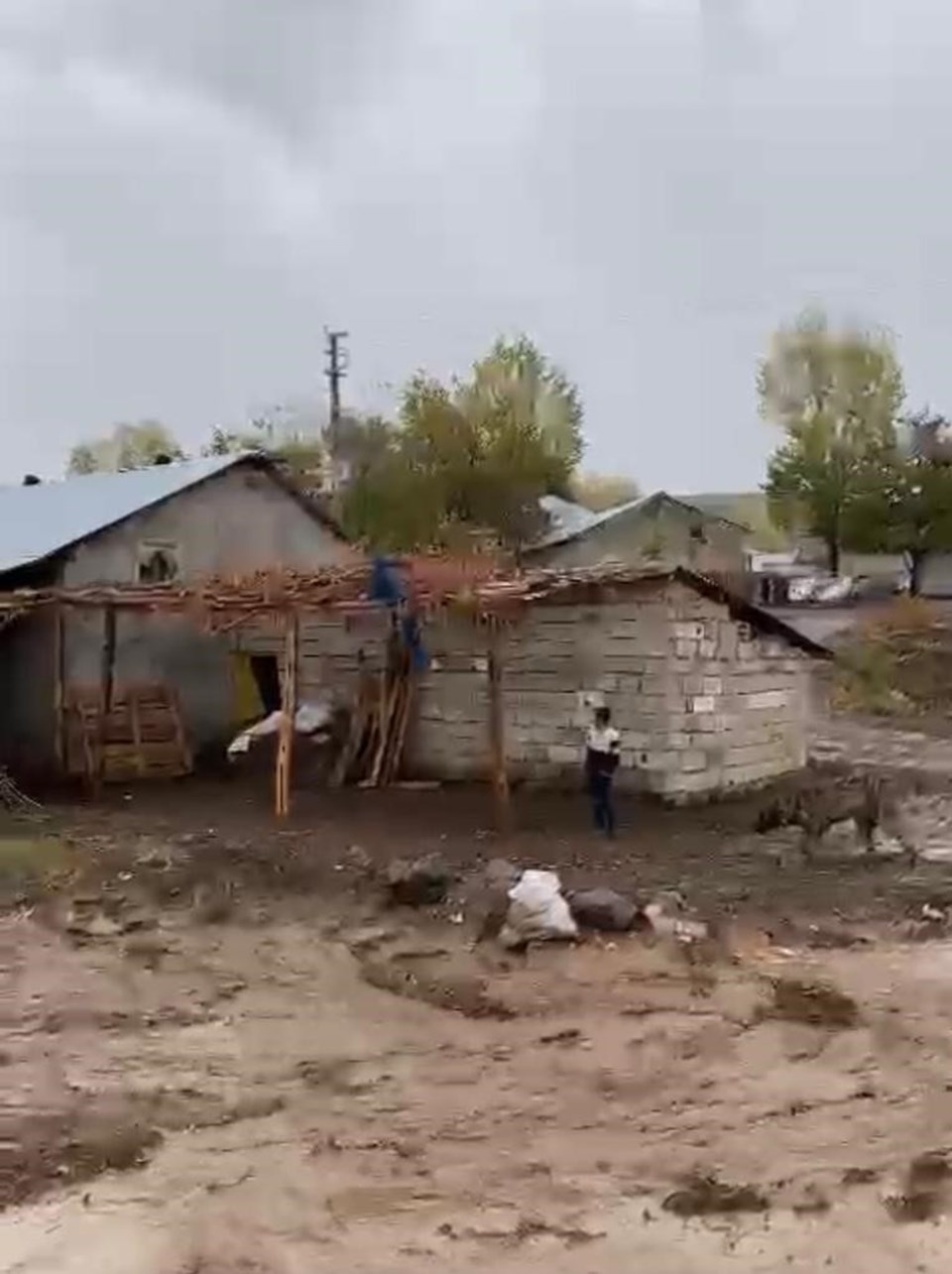 Van'da sağanak sele neden oldu: Ev ve ahırları su bastı - 1