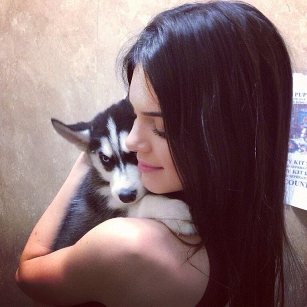 Девушка с собакой. Зои дойч с доберманом. Девушка и зверь. Нита с доберманом фотосессия. Брюнетка собака.