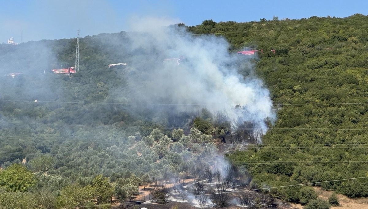 Derince'de ağaçlık alanda yangın