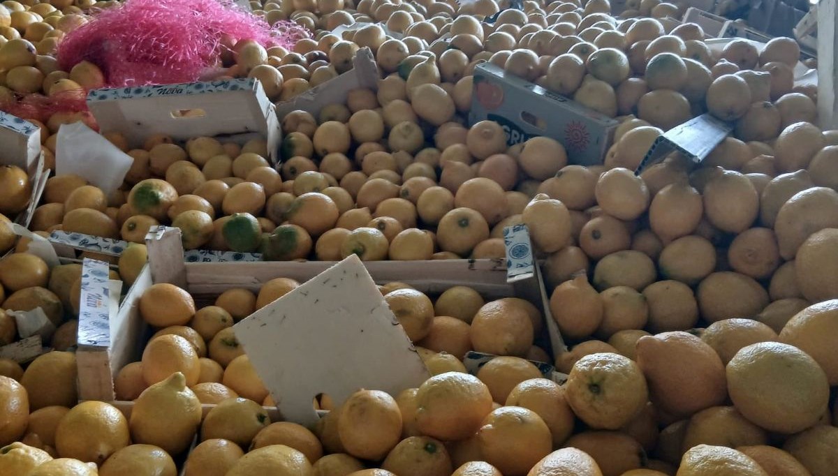 55 ton limon imha edildi!