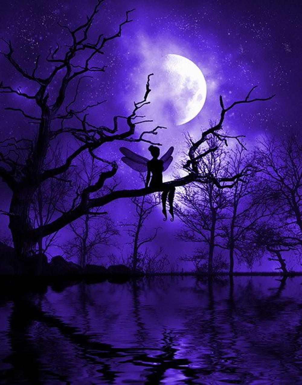 Волшебной ночи красивые. Красивая ночь. Лунная ночь. Сказочная ночь. Лунный вечер.