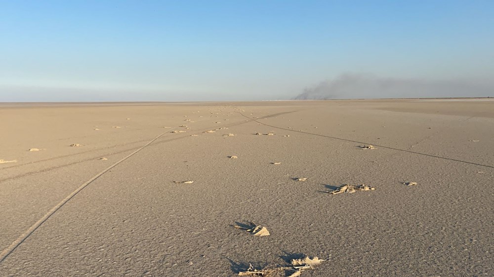 Tuz Gölü'nde toplu flamingo ölümleri - 4