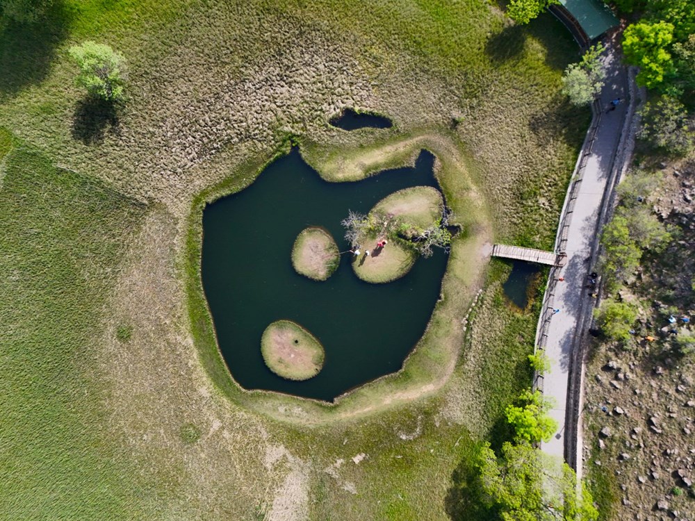 Bingöl'deki yüzen adalar doğaseverlerin rotasında - 4