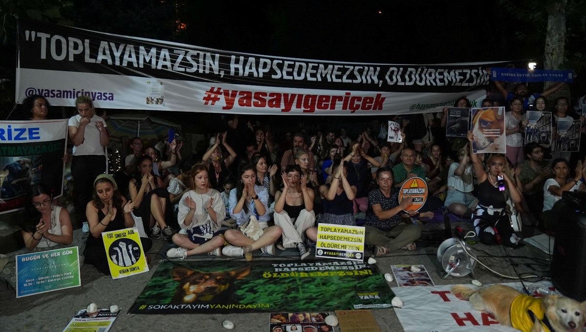 Ankara'da sokak hayvanları yasa teklifi protesto edildi