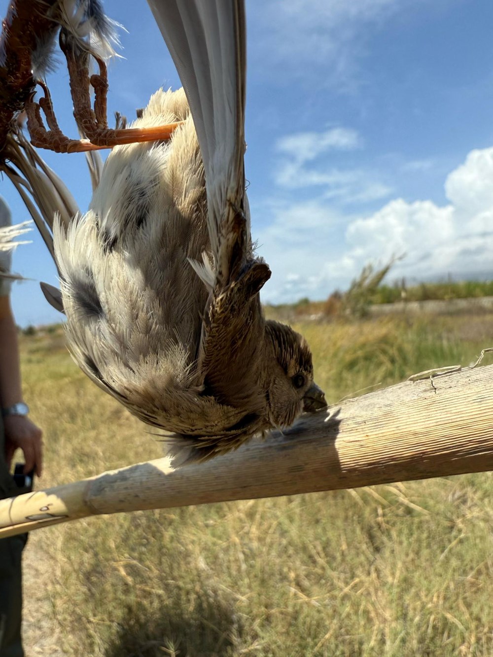 Yapıştırıcıyla vefat tuzağı: ''Bu zalimliktir'' 79 hIJIhCevGESllEEIH5oHYw