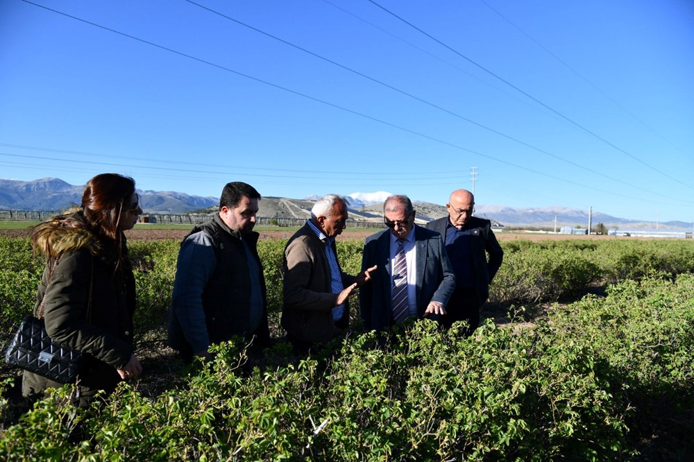 Isparta'da "zirai don" tesiri; elma, gül, kiraz ve kayısıda kayıp büyük 74 hIingj6QEUWgqV5tcYMinQ