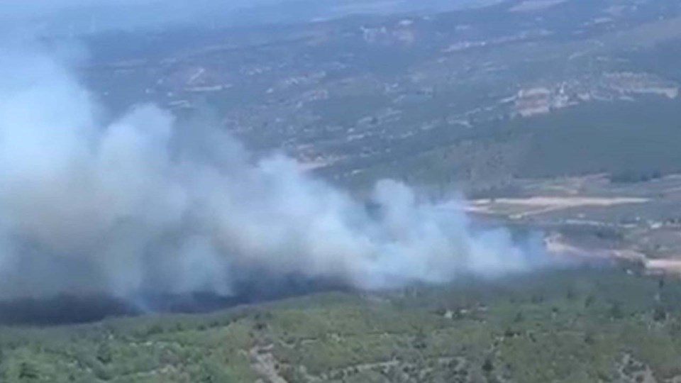 6 şehirde orman yangını | Sakarya'daki yangın Bilecik'e sıçradı: Köyler boşaltıldı - 3