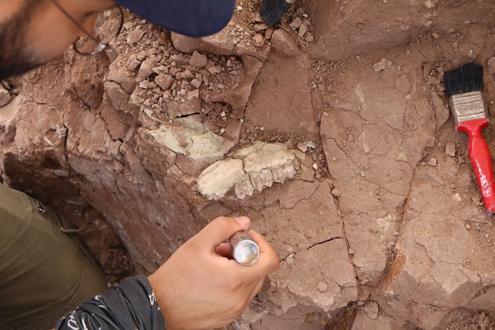 'Çankırı'nın Jurassic Park'ında kazılar başladı: 9 milyon yıl öncesine ait hayvan fosilleri bulundu - 1