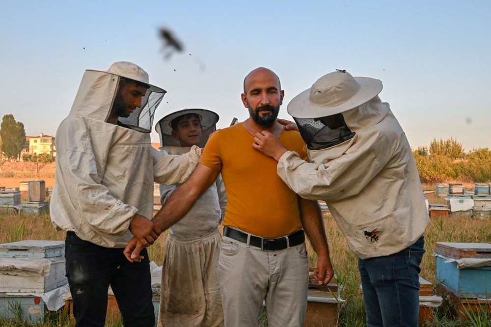 "Arı Adam"ın Guinness Rekorlar Kitabı hayaline ramak kaldı - 11