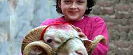 Çocuk ömür boyu et yemeyebilir! Sağlık Haberleri NTV