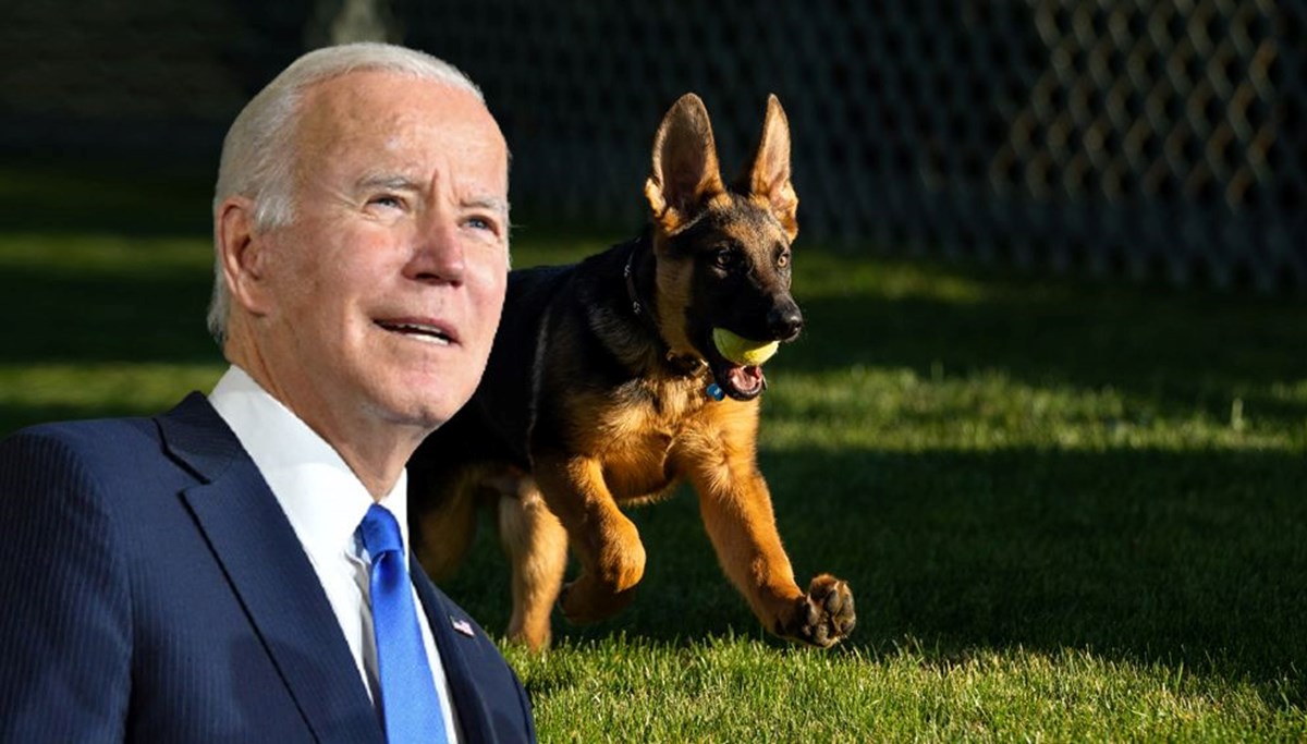 ABD Başkanı Biden’ın yeni köpeği: Commander