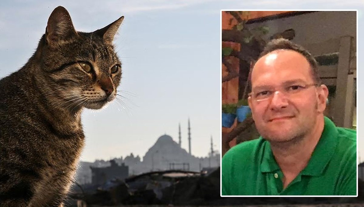 Kedi tüyünden ölüm iddiasına yalanlama