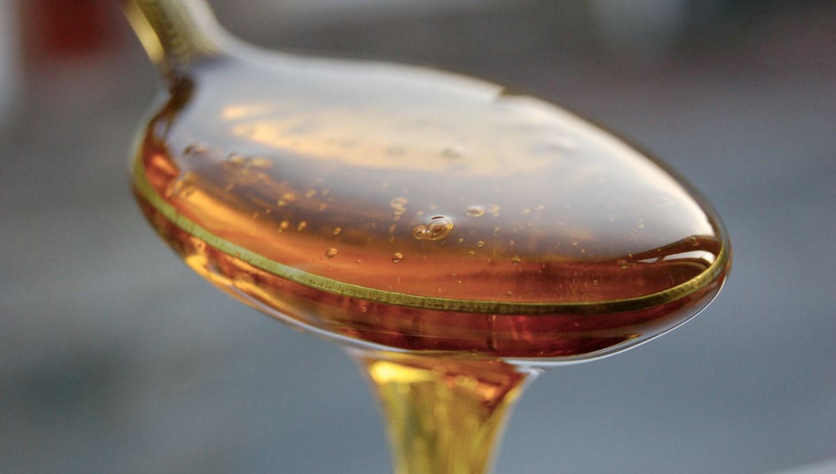 En faydalı bal türü hangisi? Süzme mi petek mi?