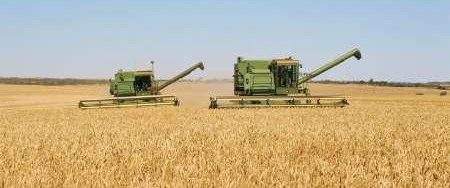 Hububat fiyatları artacak mı? NTV