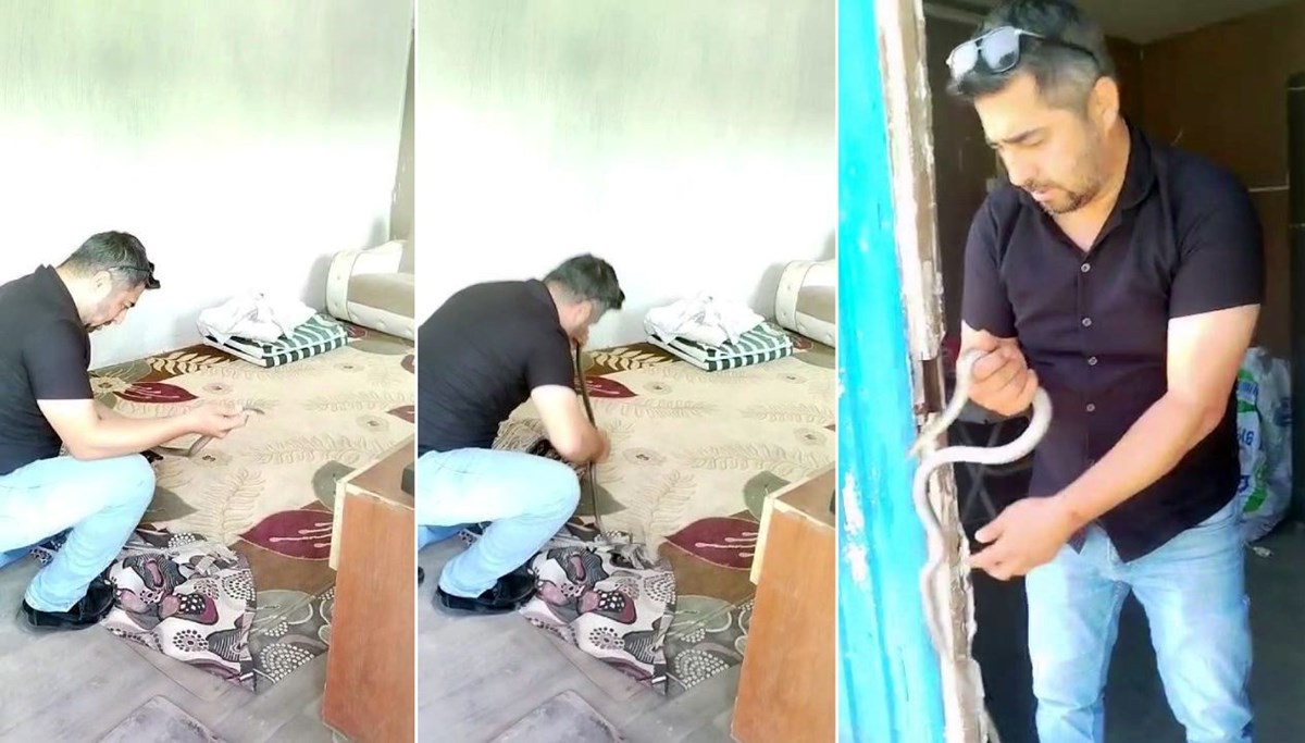 'Yılancı Kemal' iş başında: Hiçbir koruyucu takmadı, 1 metrelik yılanı elleriyle yakaladı