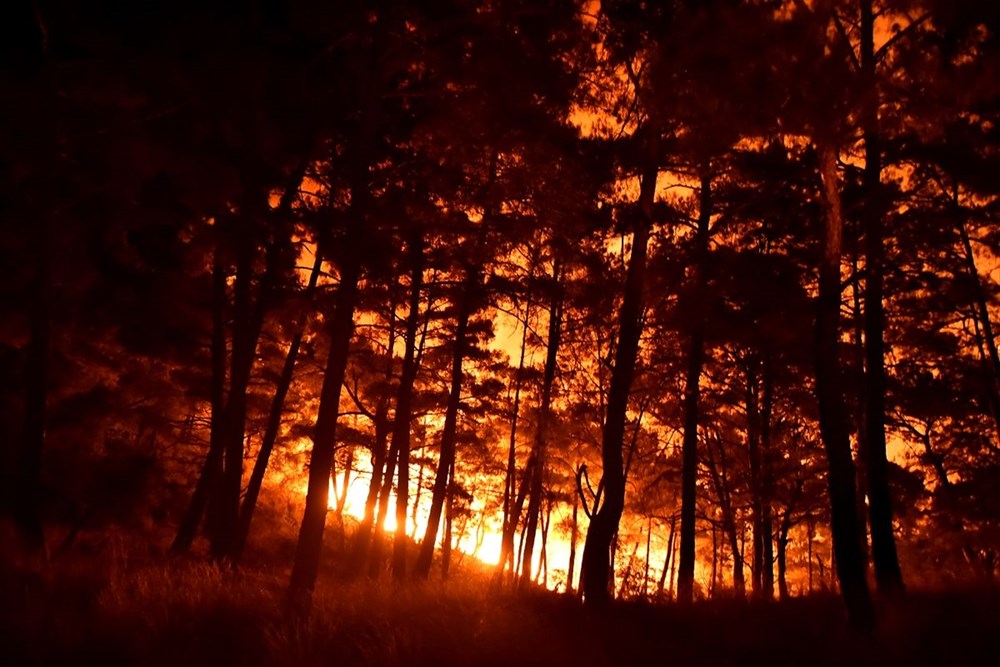 Hatay ve Mersin'de orman yangını - 3