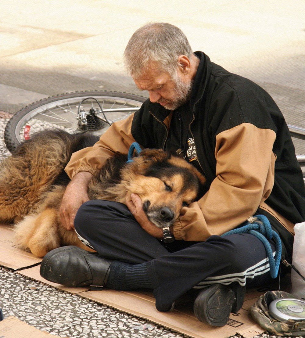 Какая собака преданная человеку. Бездомные собаки. Преданные собаки. Преданность собаки к человеку. Человеческая доброта.