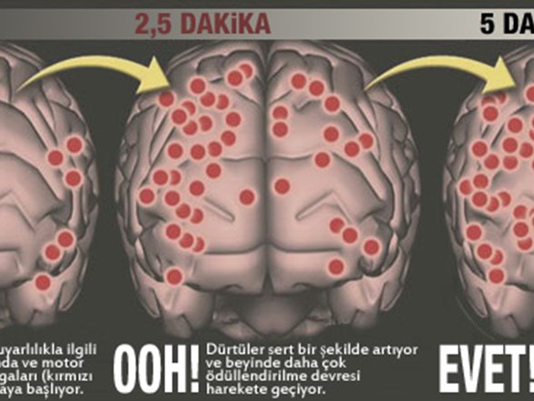 kadinlar nasil orgazm olur ntv