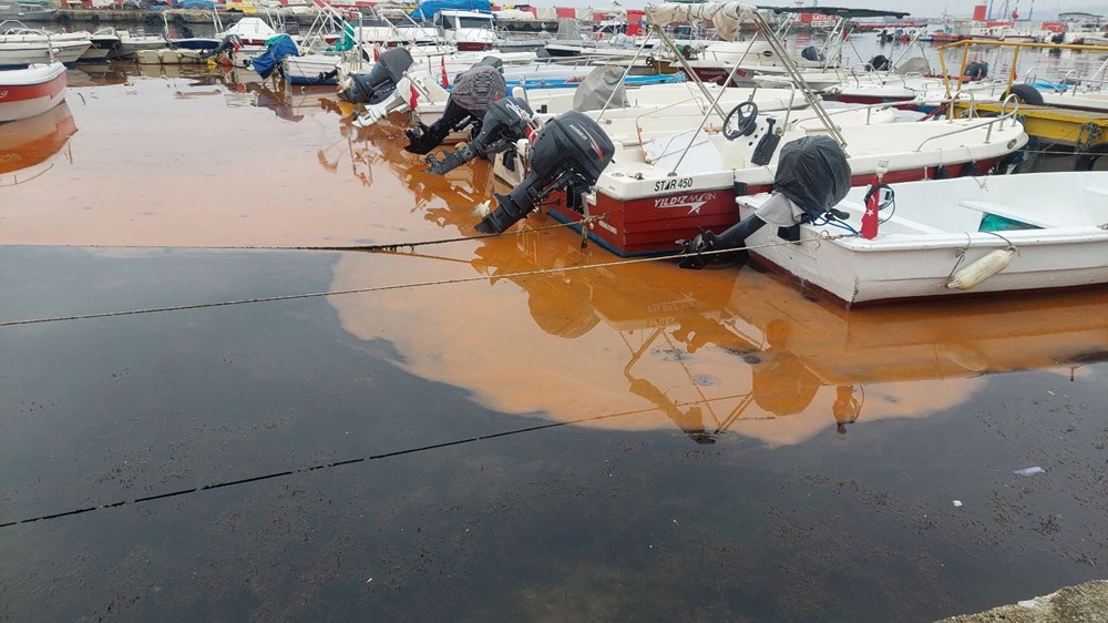 Marmara'da korkutan görüntüler: Rengi değişiyor, denizanası istilası yayılıyor - 4