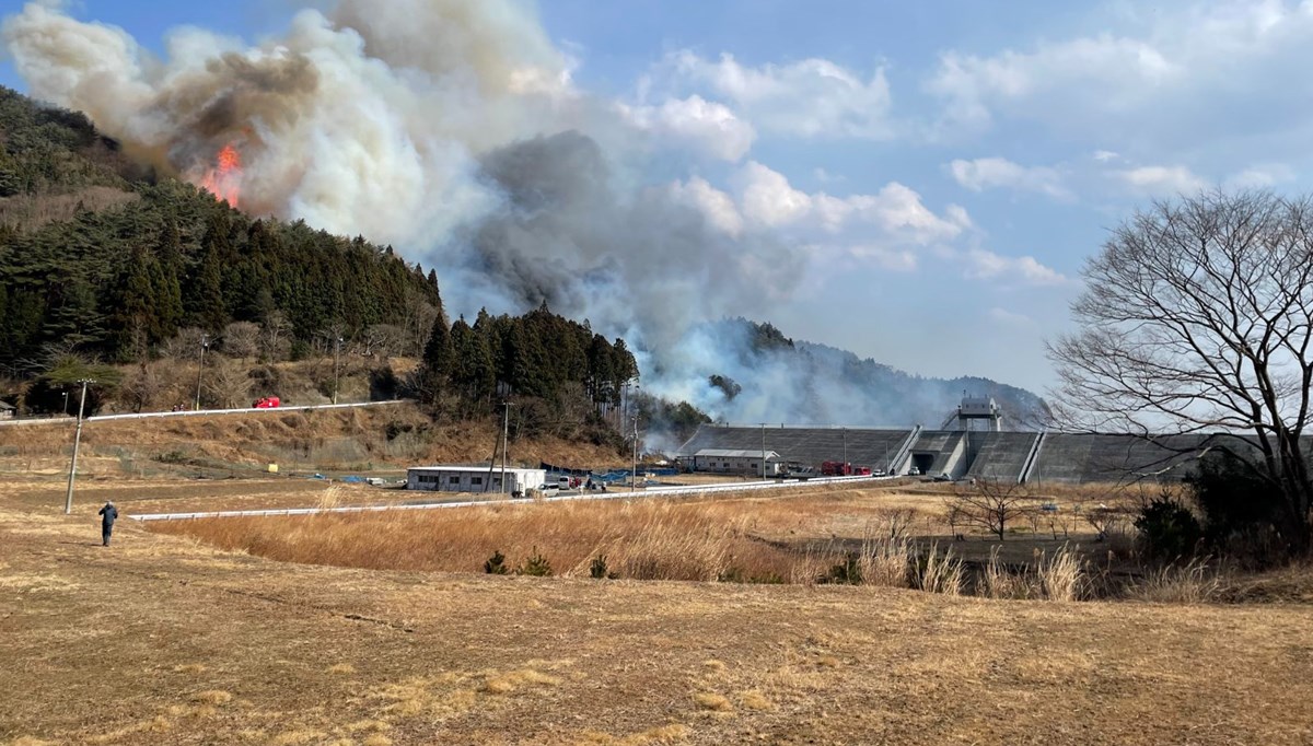 Japonya'da orman yangını: 2 bin 114 kişiye tahliye uyarısı yapıldı