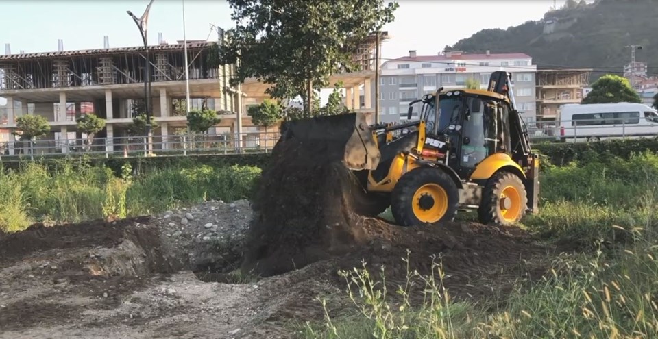 Giresun'da çukurda 10 ölü köpek bulundu - 1