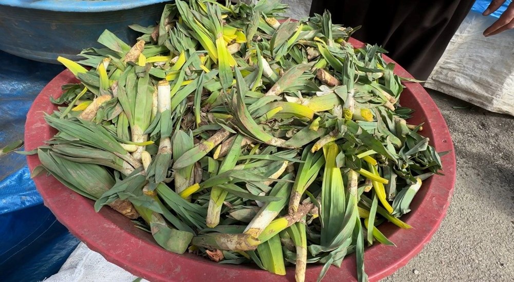 Nature's Shield Arrives: The Vitamin C Powerhouse Hitting Market Stalls 74 hY6RHL9 z0WOBqS0XHwv5A