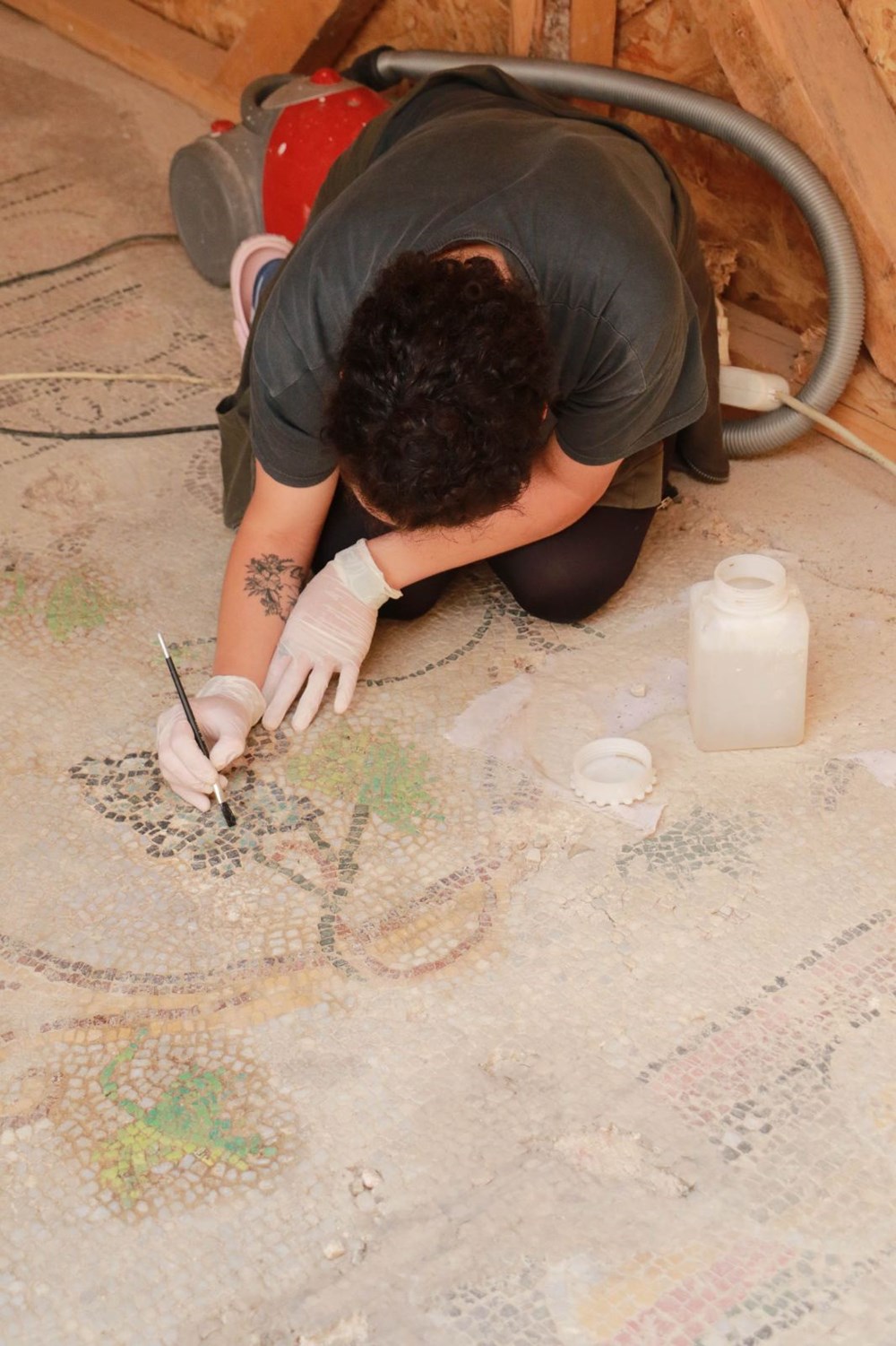 Balatlar Kazısı’nda, Zeugma'dakilere benzer mozaikler bulundu - 4