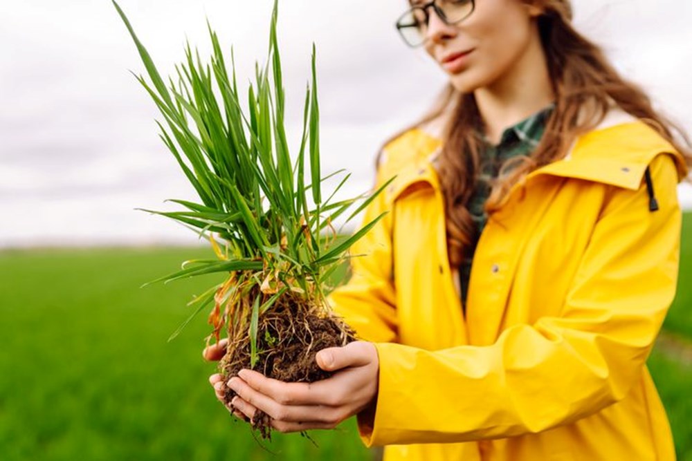 D�nyada "Ye�il G��" olarak biliniyor!