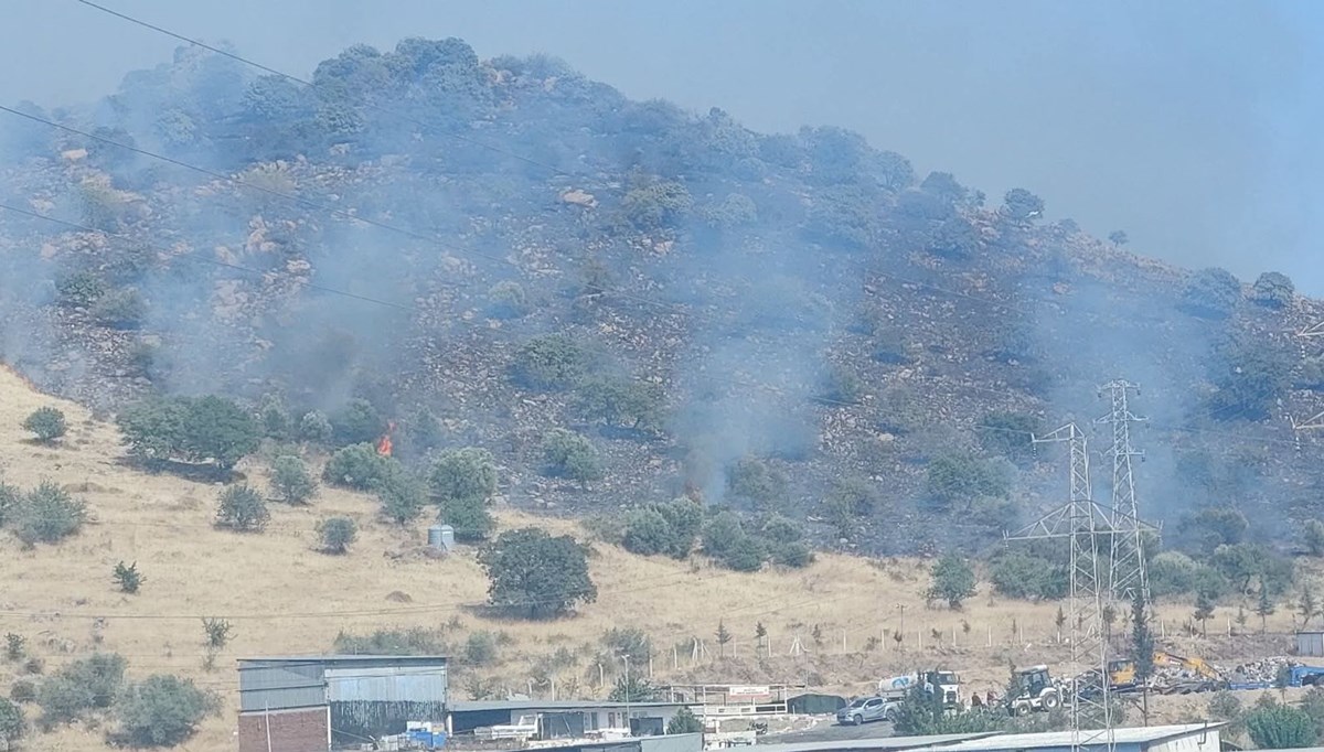 Dikili'de orman yangını