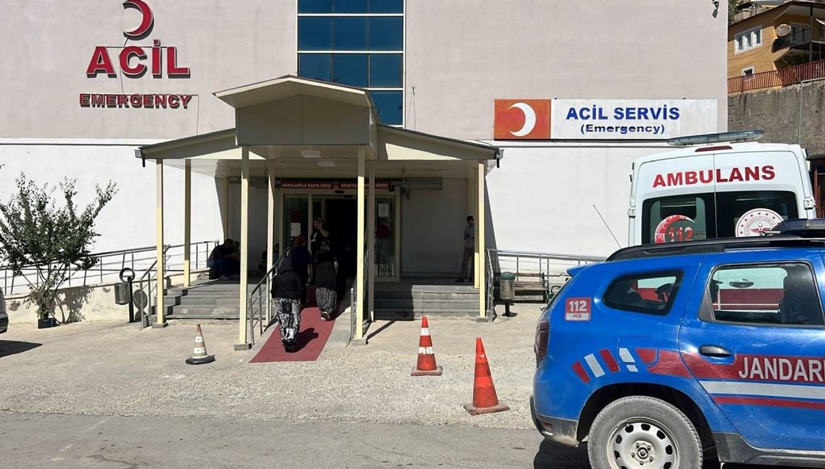 Ceviz toplamak için çıktı, öldü