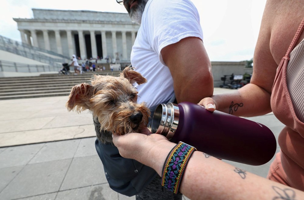 Avrupa'da hayat durdu: 46 derece görüldü, evler boşaltıldı, kaos kapıda - 6