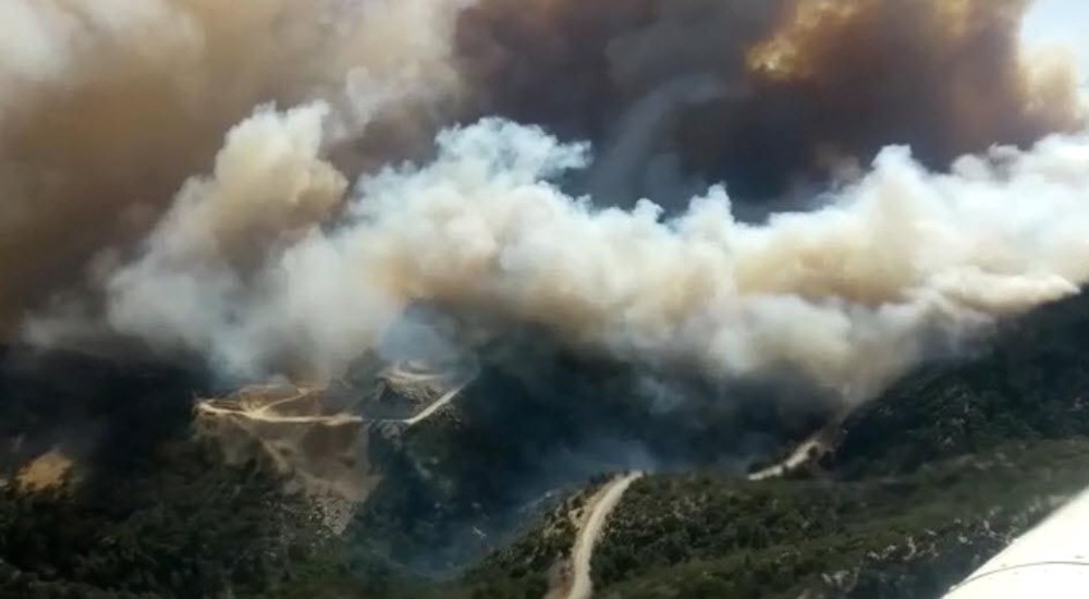 Datça'da orman yangını: Çıkış nedeni belli oldu - 17