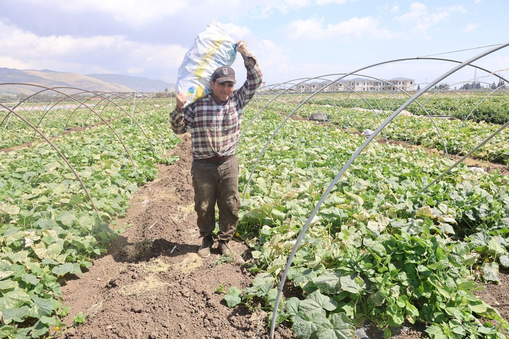 Amik Ovası'nda hasat başladı: Tarlada 15 TL'ye alıcı buluyor 74 hhDSZMYiw0msS34fWH1E5g
