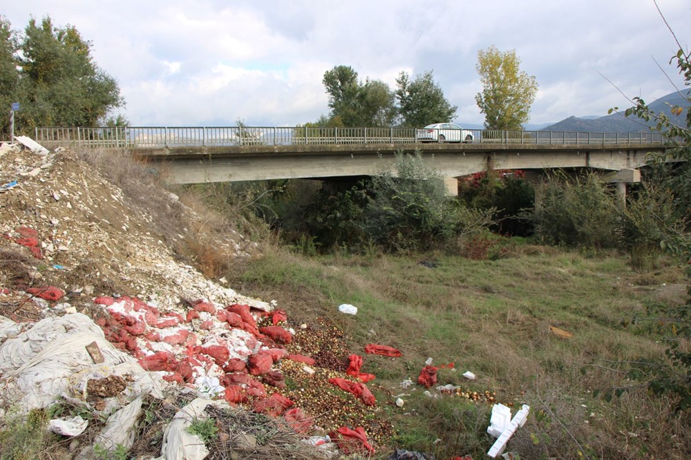 Yeşilırmak kıyısına çuvallar dolusu soğan ve patlıcan döküldü - 8