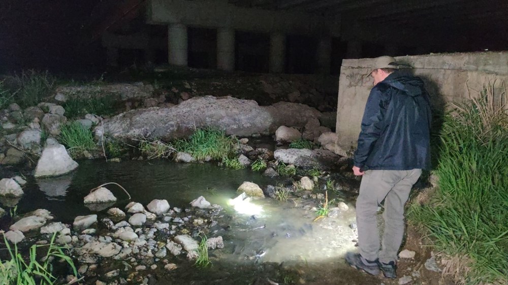 İnci kefalinin gece yolculuğu başladı - 5