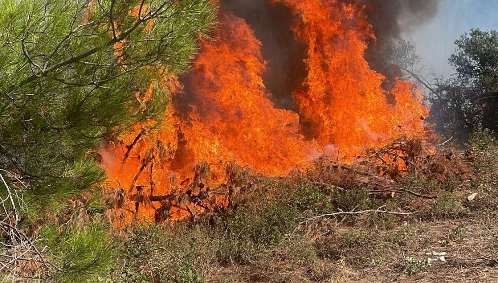 Bursa'da baraj çevresindeki ormanlık alanda yangın