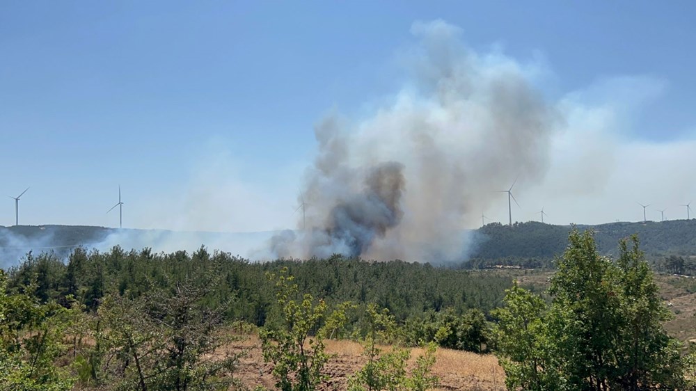 Mersin ve Kahramanmaraş'ta orman yangını - 4