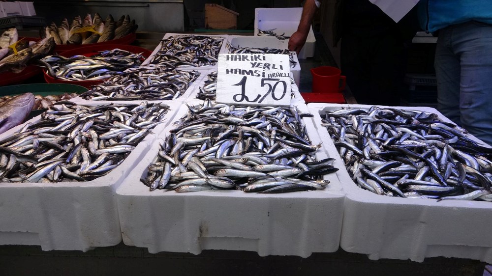 100 TL İndirim Daha! Raflar Dolup Taşıyor. 73 hk9AukGF2E6932BiXhGh5g