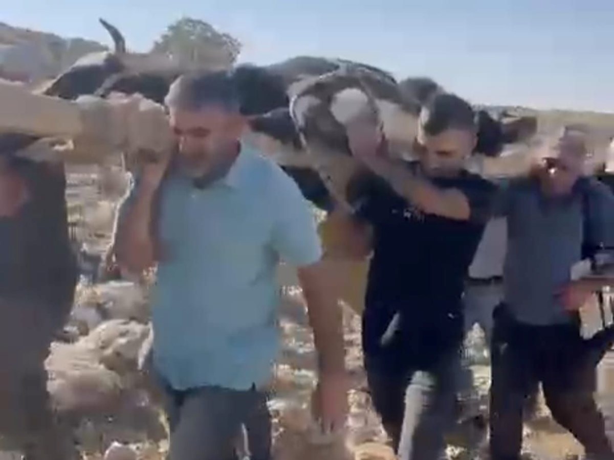 hlJHU3HIKECP7l7MCvlFUw.jpg