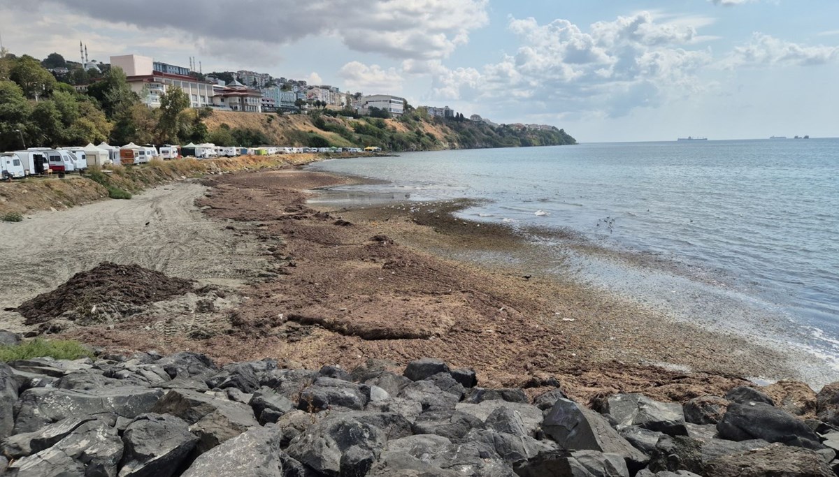 Denizin rengi değişti: Adeta kara toprak parçasına dönüştü