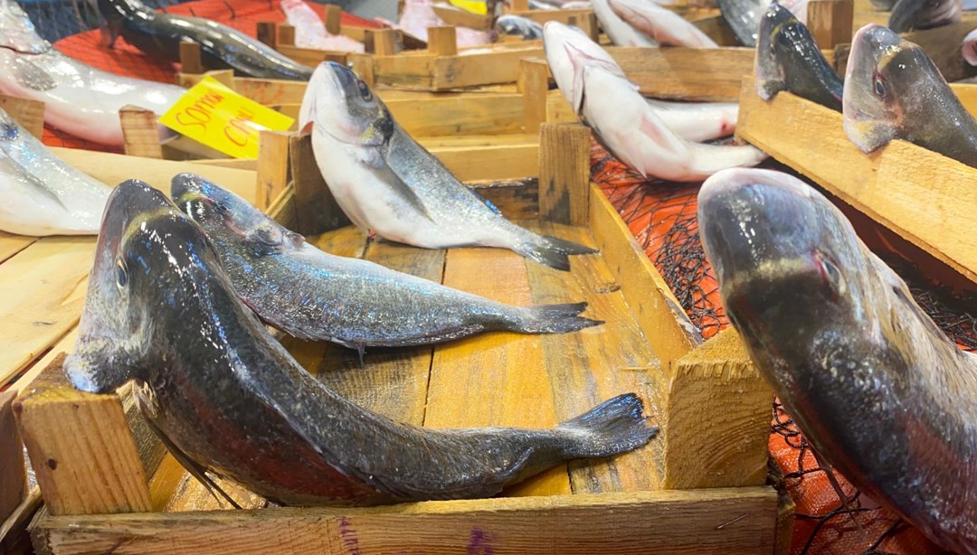 Pazardan alınan balıkların içinden çıktı! Uzmanı uyardı: Temas ettikten sonra ellerinizi sabunlayın