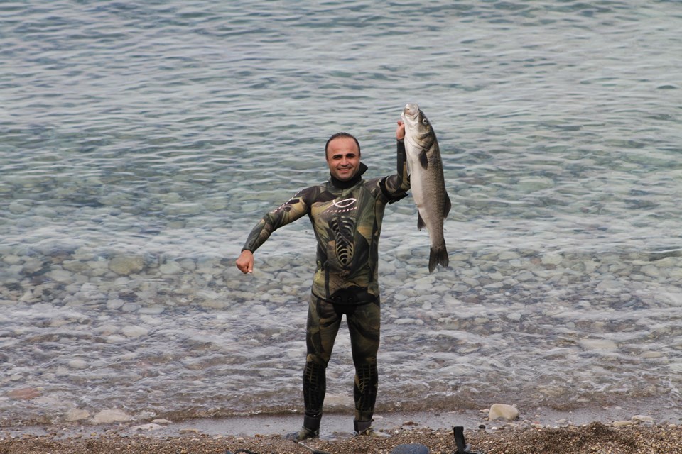 Zıpkınla 8,5 kiloluk levrek yakaladı - 1