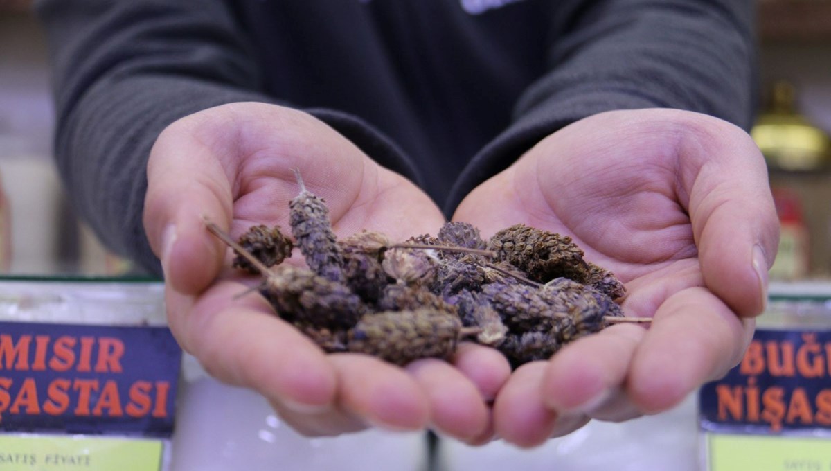 Sigarayı bıraktıran bitki, kilosu 350 TL: Tiryakiler günde 1 kez tüketiyor